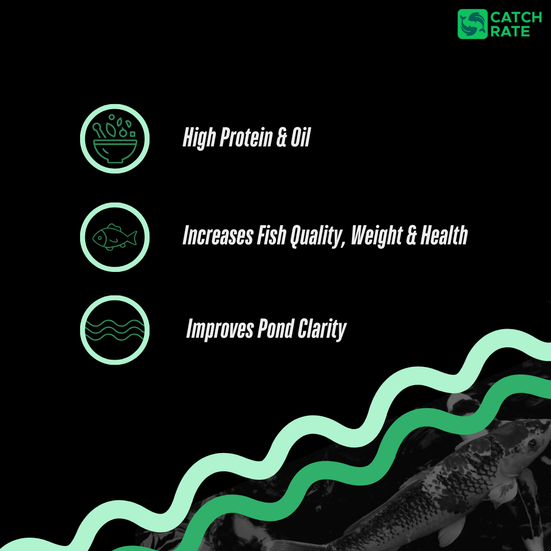 Sinking Fish Food Pellets, 6mm, High Oil, Perfect for Carp, Coarse Fish and Koi