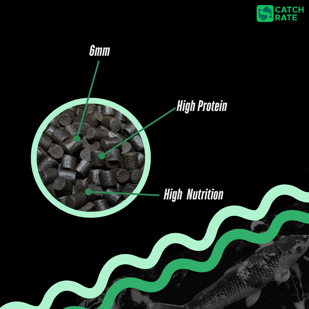Sinking Fish Food Pellets, 6mm, High Oil, Perfect for Carp, Coarse Fish and Koi